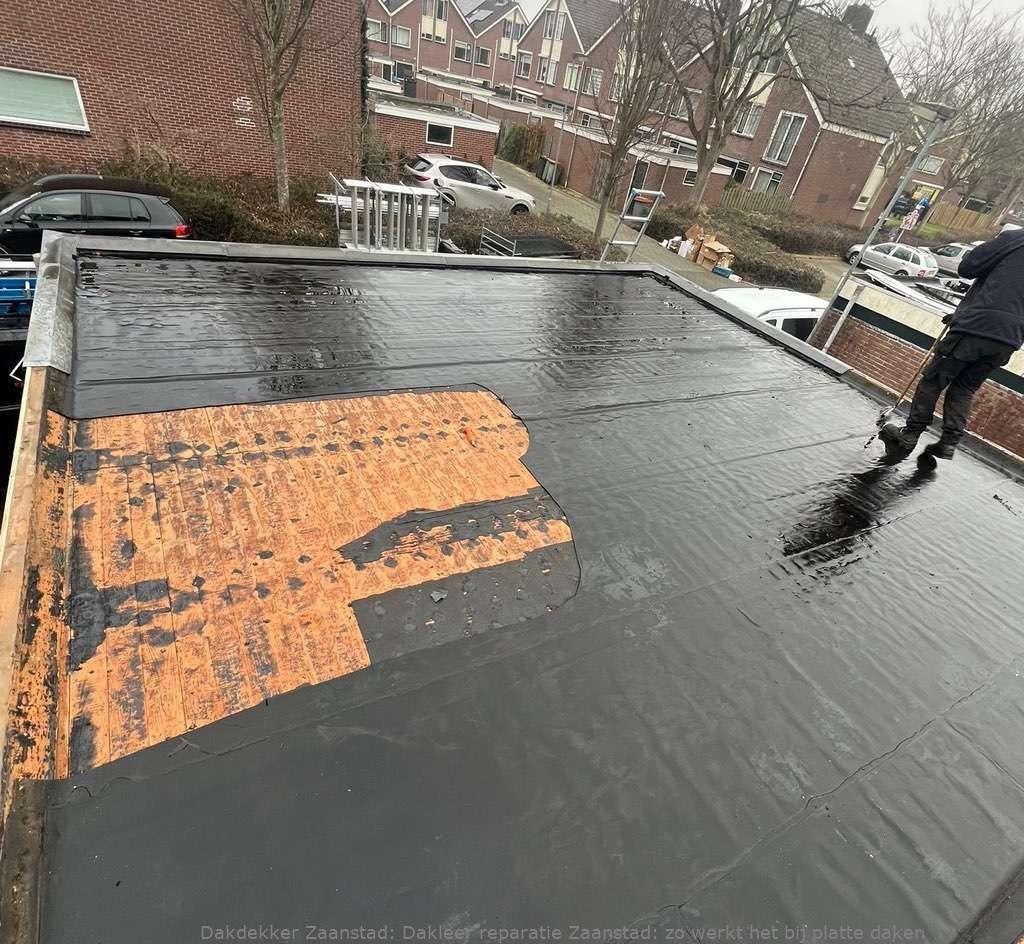 Dakleer Reparatie Zaanstad