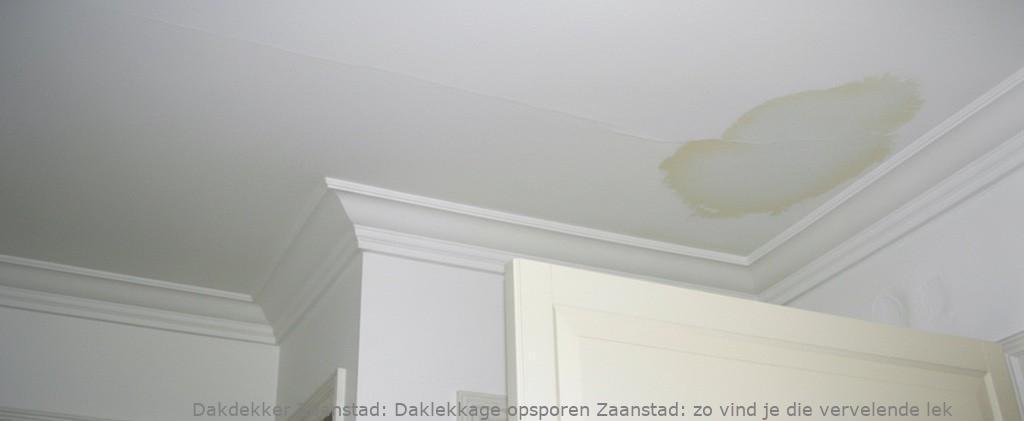 Daklekkage Opsporen Zaanstad 1
