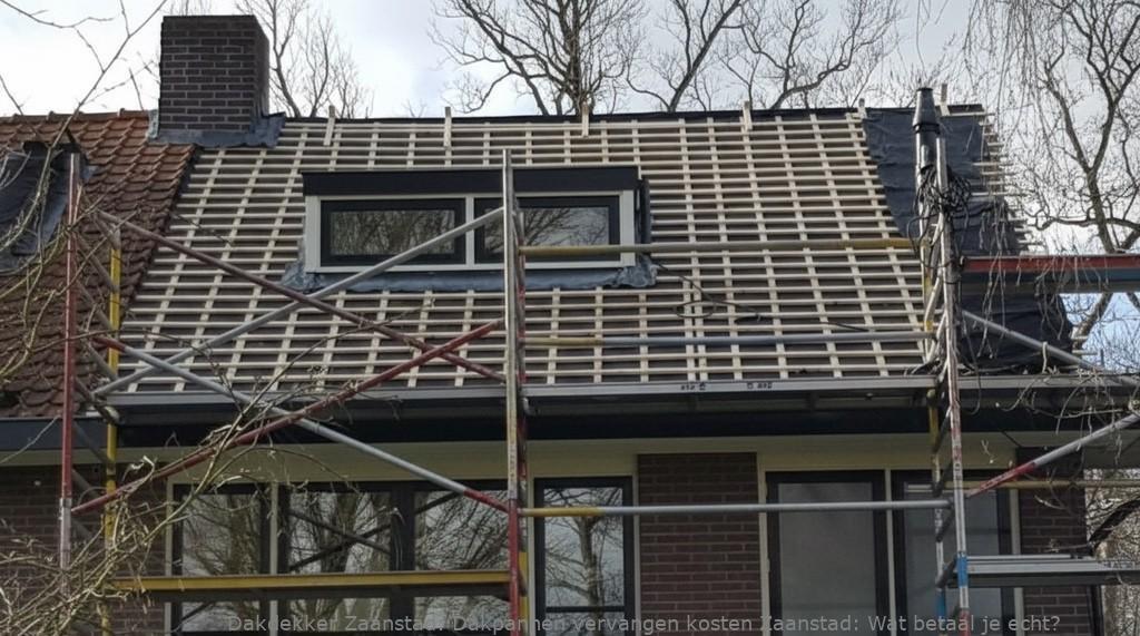 Dakpannen Vervangen Kosten Zaanstad