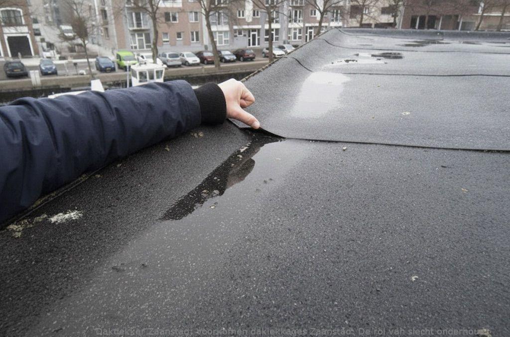 Voorkomen Daklekkages Zaanstad