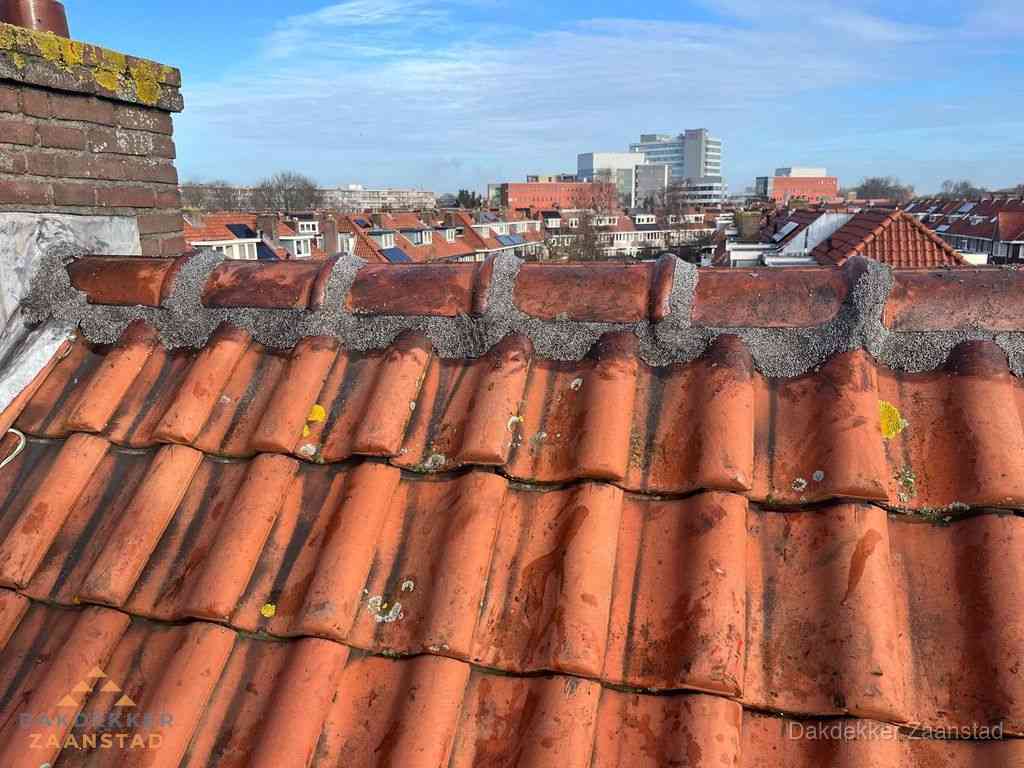 Zaanstad Daken Renoveren